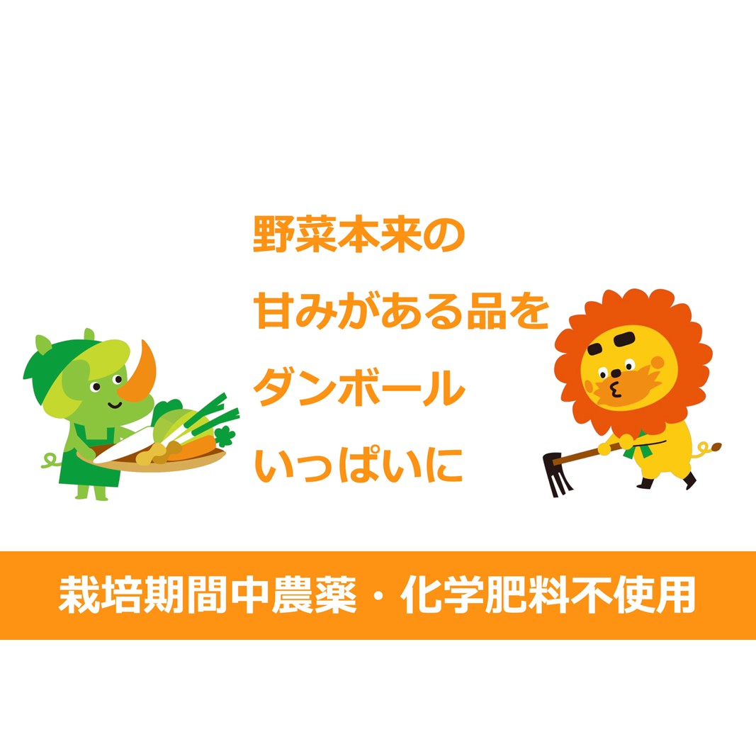 【ふるさと納税】野菜 定期便 3ヶ月 1名様向け 野菜5種 セット 旬の野菜 生野菜 やさい 新鮮 鮮度 産地直送 詰め合わせ 冷蔵 千葉 定期 お楽しみ 3回 ｜千葉県千葉市