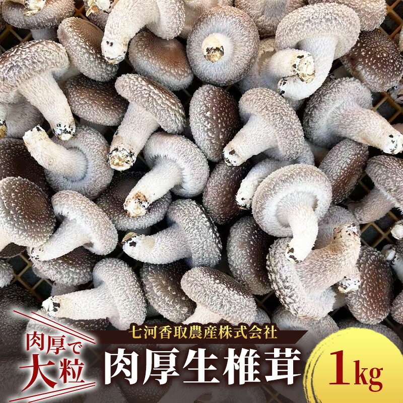 【ふるさと納税】しいたけ 肉厚生椎茸1kg 椎茸 シイタケ 高品質 通年栽培 肉厚 大粒 しっかり 噛み応え きのこ 千葉市 千葉県|千葉県千葉市