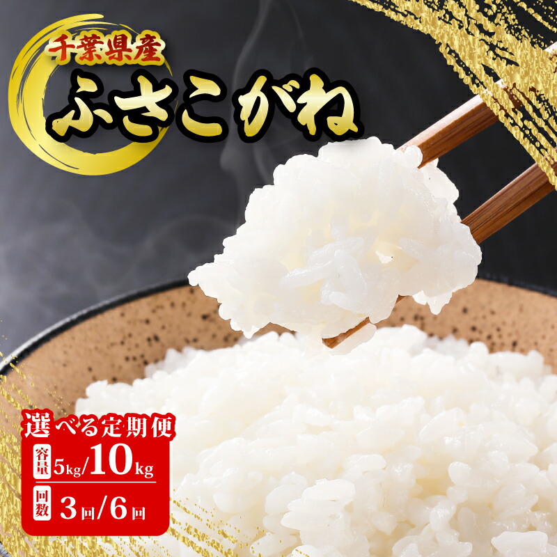 【ふるさと納税】 ふさこがね 5kg / 10kg 定期便 米 白米 お米 おこめ ご飯 ごはん 国産 千葉県 銚子市 根本商店 お弁当 おにぎり 朝食 昼食 夕食 お取り寄せ グルメ 食品 災害 防災 ギフト 贈り物 贈答 プレゼント 送料無料 宅配 和食 保存 備蓄 もちもち あまみ 甘み|千葉県銚子市
