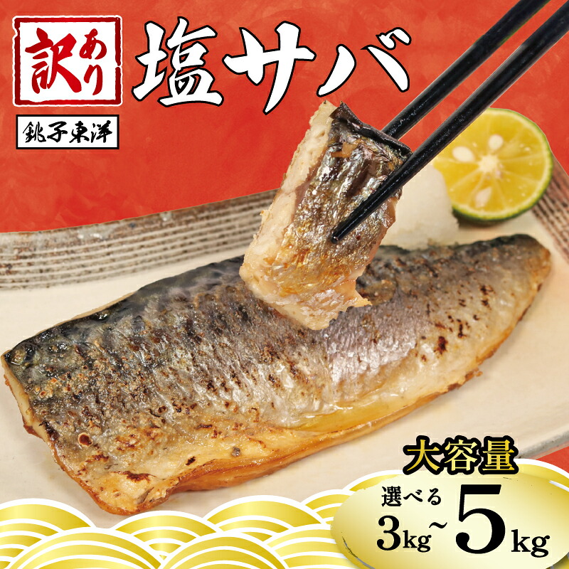 【ふるさと納税】 訳あり 塩サバ フィーレ 【選べる内容量】 約 3kg 約 3.5kg 約 5kg 鯖 さば 塩鯖 フィレ 切り身 切身 大容量 たっぷり 人気 規格外 贈答 ギフト お取り寄せ グルメ 惣菜 魚 海鮮 魚貝 魚介 冷凍 冷凍食品 ふるさと納税鯖 送料無料 千葉県 銚子市 銚子東洋