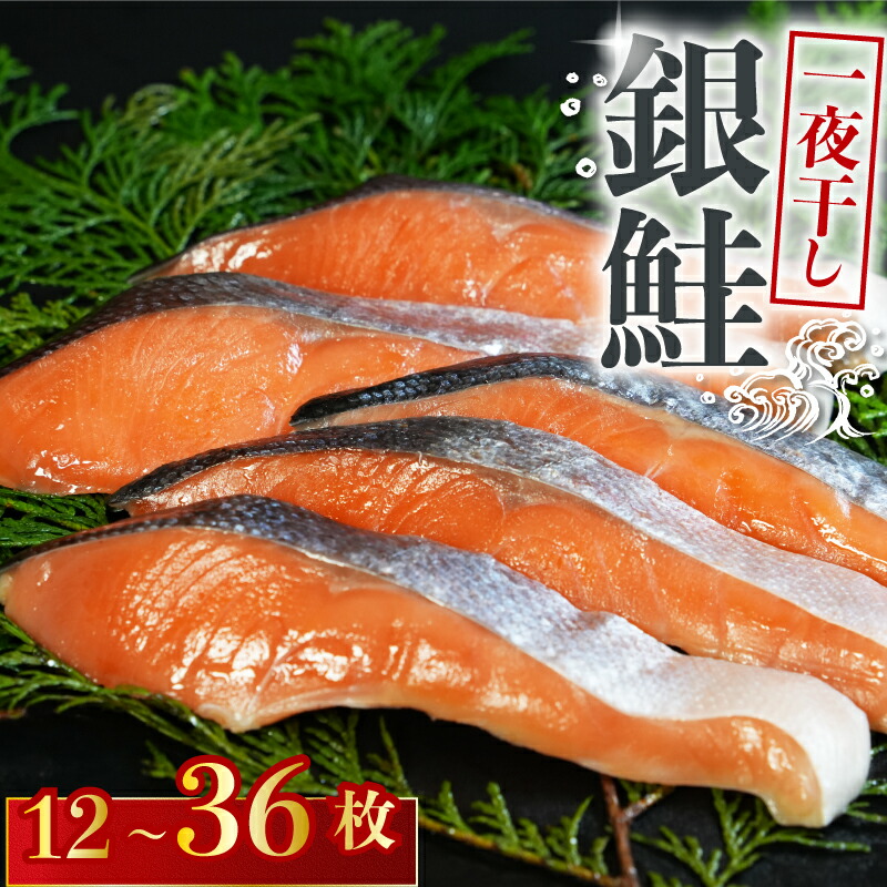 【ふるさと納税】 銀鮭 一夜干し 【選べる容量】 12~36枚 (5パック×3枚)干物 ひもの さけ 鮭 魚 海鮮 おかず つまみ 弁当 魚介 食品 冷凍食品 グルメ 贈答 贈り物 プレゼント ギフト お取り寄せ ふるさと納税 送料無料 千葉県 銚子市 10000円 株式会社甲印小西商店