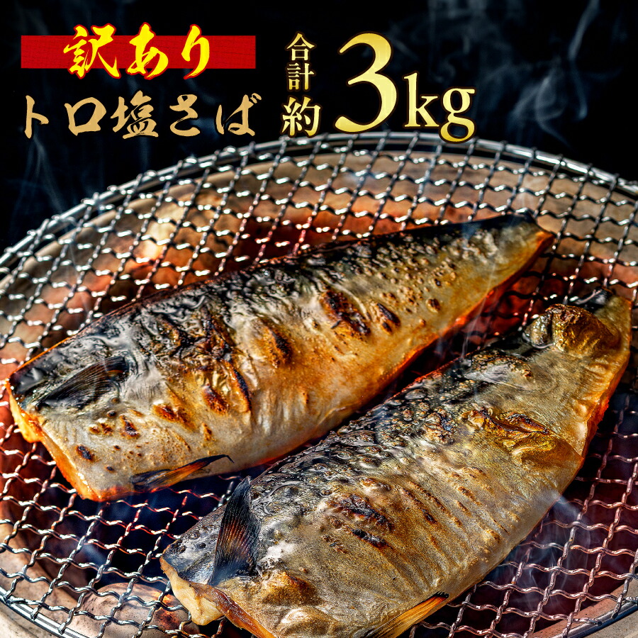 【ふるさと納税】 訳あり トロ 塩さば 約 3kg 大盛り 鯖 さば 塩さば 塩鯖 人気 大容量 魚介 冷凍 お取り寄せ グルメ おかず 弁当 切身 フィーレ 小分け 焼魚 味噌煮 照り焼き 竜田揚げ 酒 海鮮 魚 不揃い 規格外 ふるさと納税 送料無料 千葉県 銚子市 飯田商店 iidachoshi