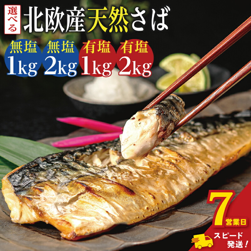 【楽天市場】【ふるさと納税】 ＼ スピード発送 ／ 訳あり 骨取り 無塩さば 有塩さば 約1kg・約2kg 楽天限定 期間限定 鯖 さば 無塩 有塩 骨なし 骨抜き 切身 切り身 大容量 人気 魚 魚介 魚貝 海鮮 お取り寄せ 送料無料 ふるさと納税 ふるさと納税鯖 千葉県 銚子市 飯田商店 iidachoshi：千葉県銚子市