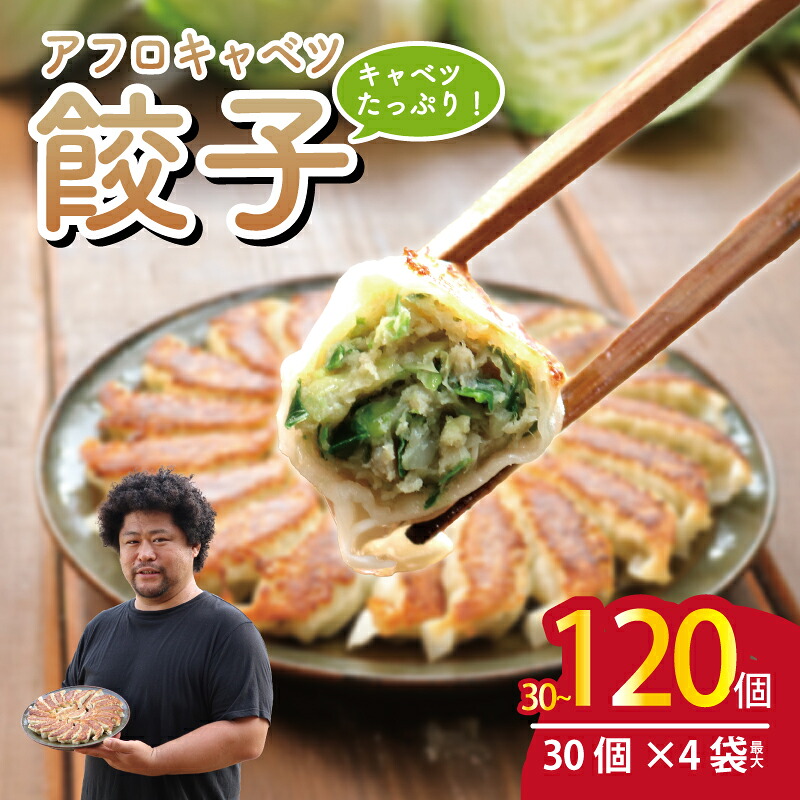 【ふるさと納税】 アフロキャベツ 餃子 30個～120個 ギョーザ ぎょうざ 冷凍餃子 きゃべつ 日本一 肉 汁 豚肉 国産 食品 小分け 大容量 キャンプ 野菜 贈答 プレゼント お取り寄せ ふるさと納税 ふるさと納税餃子 冷凍 送料無料 千葉県 銚子市 くるくるやっほー