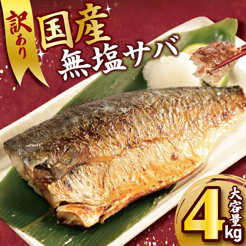 【ふるさと納税】 訳あり 国産 無塩 サバ 4kg 国産 天然 無塩 フィーレ 冷凍  千葉県 銚子市 ※着日指定不可