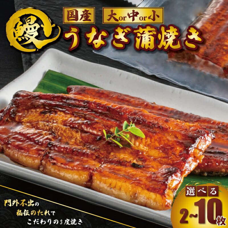 【ふるさと納税】 国産 うなぎ蒲焼 1枚約90~110g 選べる容量 2 ～ 10枚 タレ 山椒 付き うなぎ 鰻 蒲焼 うな重 鰻丼 うな丼 ひつまぶし 土用の丑の日 魚 海鮮 肉 厚 冷凍 真空パック 秘伝 魚介類 魚貝 高級 個包装 ギフト 贈り物 お中元 お歳暮 千葉県 銚子市 石毛川魚店
