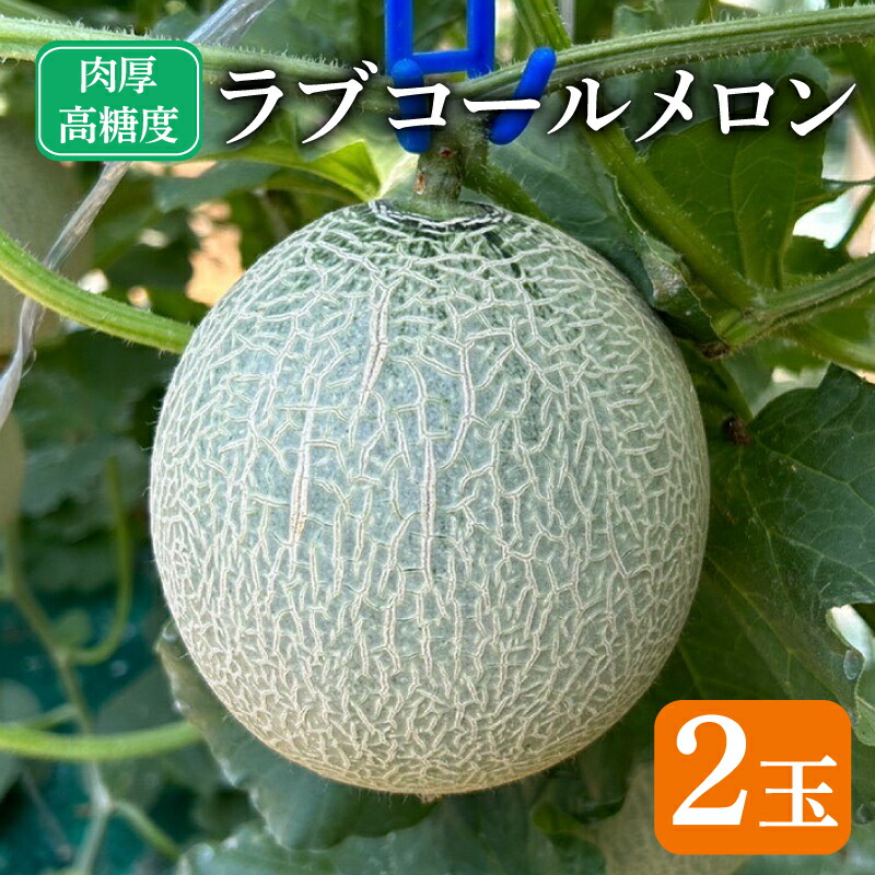 【ふるさと納税】 先行予約 ラブコールメロン 2玉 メロン 果物 フルーツ 糖度 甘い 贈答 プレゼント ギフト ゼリー ジュース ケーキ 送料無料 千葉県 銚子市 はぎわらファーム 発送時期 2026年7月～(なくなり次第終了)