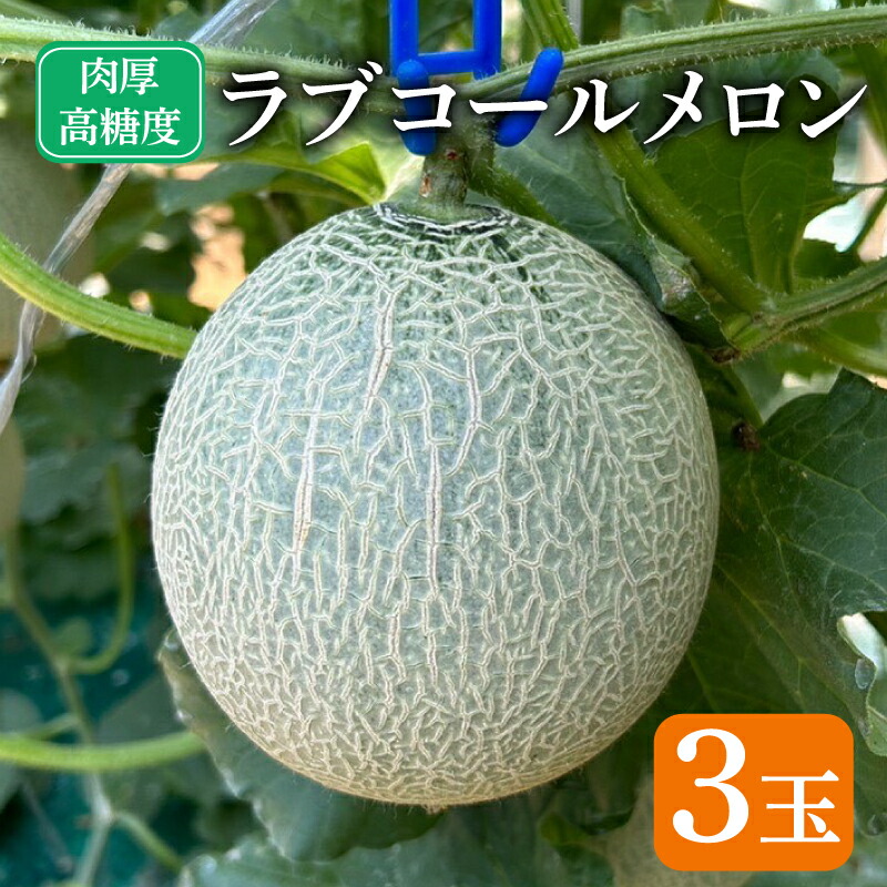 【ふるさと納税】 先行予約 ラブコールメロン 3玉 メロン 果物 フルーツ 糖度 甘い 贈答 プレゼント ギフト ゼリー ジュース ケーキ シャーベット アイス デザート スイーツ 送料無料 千葉県 銚子市 はぎわらファーム 発送時期 2026年7月～(なくなり次第終了)
