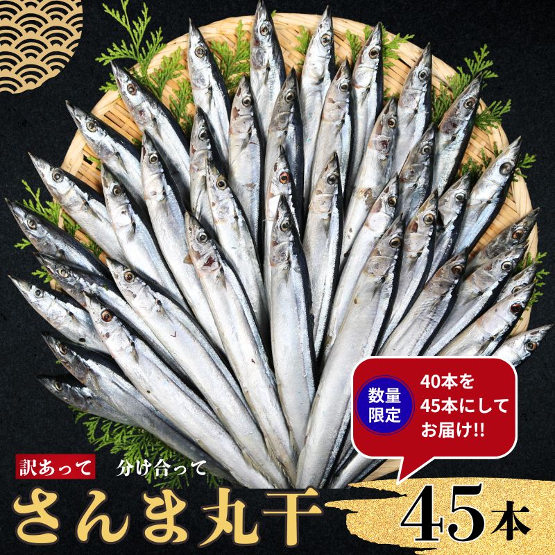 【ふるさと納税】 さんま サンマ 秋刀魚 訳あって さんま丸干し 40本 増量 中 分け合って 訳あり 規格外 さんま 丸干し 大容量 たっぷり 魚 無添加 国産 冷凍さんま 海鮮 干物 贈り物 人気 お取り寄せ ふるさと納税さんま 冷凍 送料無料 10000円 千葉県 銚子市 ヤマニンベン