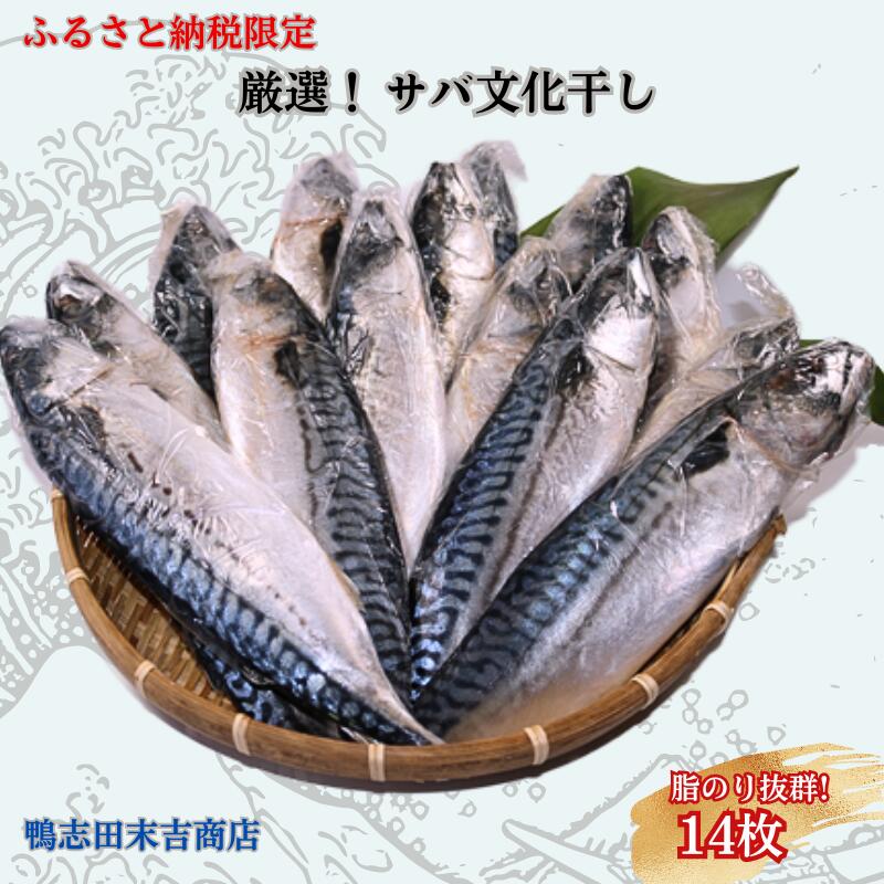 【ふるさと納税】 厳選 ！ サバ文化干し １４枚 ！ ふるさと納税限定 工場直送 サバ さば 鯖 さば文化 サバ文化 さば文化干し サバ文化干し 文化干し 塩サバ 塩鯖 塩 海鮮 焼き鯖弁当 銚子 冷凍 千葉県 銚子市