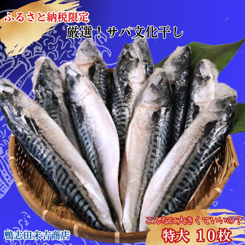 【ふるさと納税】 サバ文化干し 特大 サイズ １０枚 ！ ふるさと納税限定 工場直送 サバ さば 鯖 さば文化 サバ文化 さば文化干し サバ文化干し 文化干し 塩サバ 塩鯖 塩 海鮮 焼き鯖弁当 銚子 冷凍 お取り寄せ 千葉県 銚子市