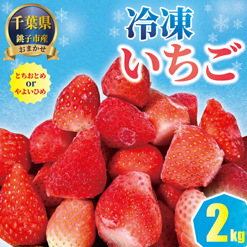 【ふるさと納税】 （先行予約）冷凍いちご 2kg （ 1kg × 2 ） とちおとめ やよいひめ 冷凍イチゴ  神原いちご園 銚子産 苺 いちご イチゴ 真空パック 冷凍 冷凍フルーツ カットフルーツ フルーツ ジャム スムージー 便利 簡単 千葉県 銚子市