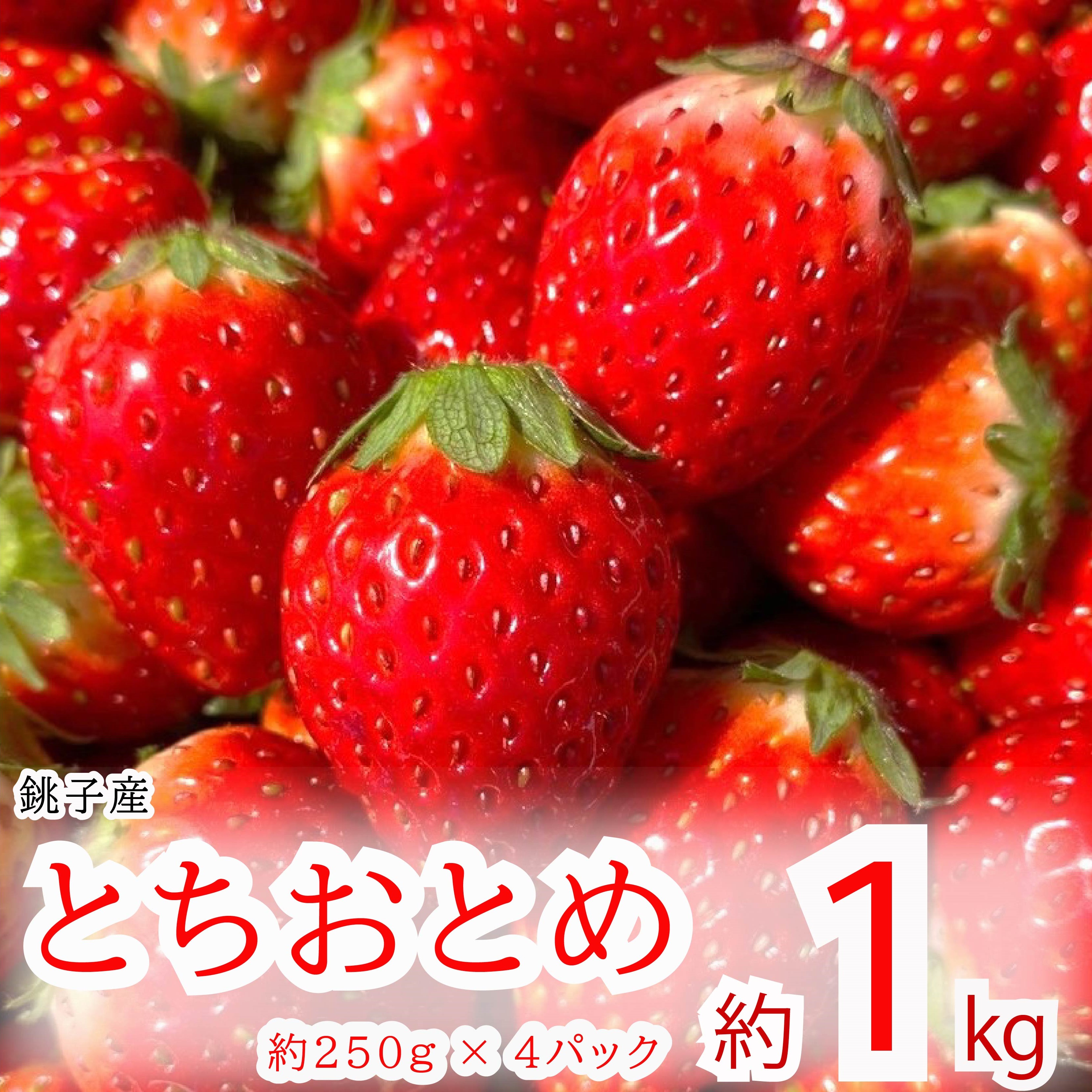 【ふるさと納税】 先行予約 とちおとめ 約1kg 250g×4パック いちご  苺 ストロベリー 果物 フルーツ ジャム ケーキ ゼリー ジュース いちご大福 苺大福 フルーツサンド ショートケーキ 朝摘み 新鮮 産直 安心 安全 期間限定 送料無料 国産 千葉県 銚子市 神原いちご園