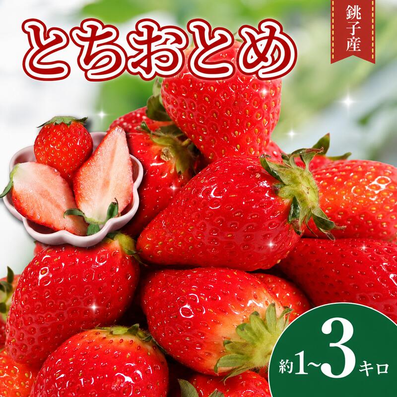 【ふるさと納税】 いちご 苺 とちおとめ 約 1kg ~ 3kg 【 選べる容量 】 先行予約 ( 1パック 250g ) 産地直送 産直 ストロベリー 果物 くだもの フルーツ ジャム ケーキ いちご大福 苺大福 朝摘み 新鮮 送料無料 国産 千葉県 銚子市 神原いちご園 【2027年1月~5月上旬発送】｜千葉県銚子市