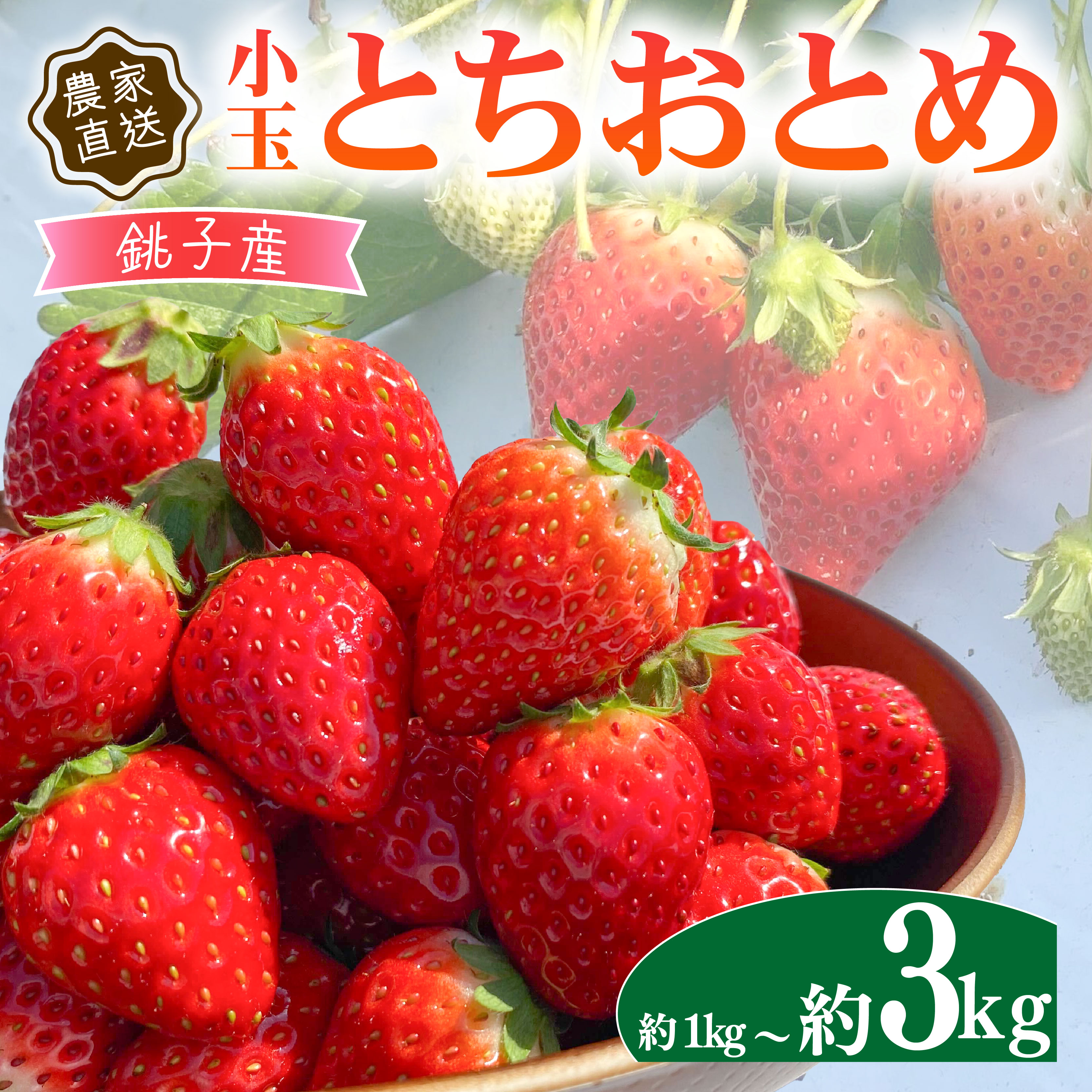 【ふるさと納税】 いちご 約1kg-約3kg とちおとめ 小玉  250g × 4パック
