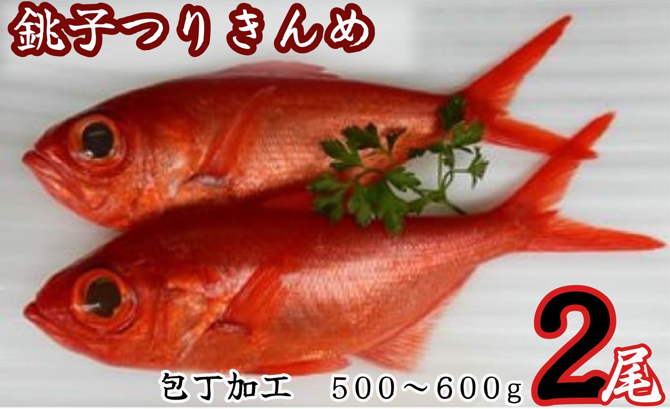 【ふるさと納税】 銚子つりきんめ 包丁加工500～600g 2尾入（冷凍）きんめだい キンメダイ 金目鯛 高級魚 処理済み レシピ付き ギフト 贈り物 贈物 贈答品 父の日 母の日 お誕生日 誕生日 敬老の日 お正月 お取り寄せ 送料無料 煮付け 塩焼き お祝い 一本釣り 千葉県 銚子市