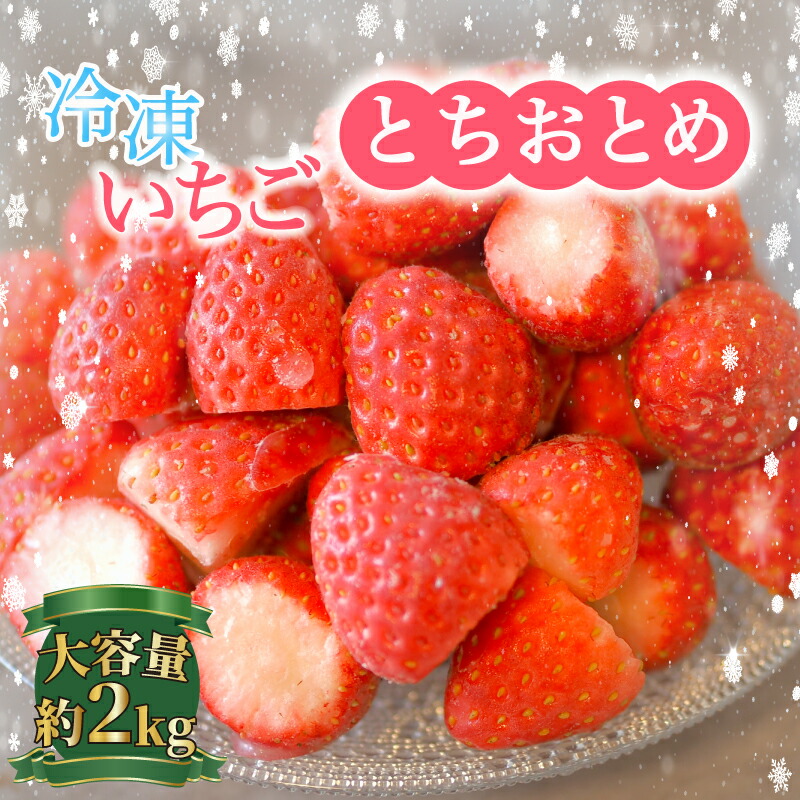 【ふるさと納税】 （先行予約）冷凍イチゴ ２kg (1kg × 2） 萩谷園芸 レシピ レシピ付 銚子産 とちおとめ 苺 いちご イチゴ 真空パック 冷凍フルーツ カットフルーツ フルーツ ジャム スムージー ヨーグルト 10000円 ふるさと納税いちご 送料無料 千葉県 銚子市 萩谷園芸