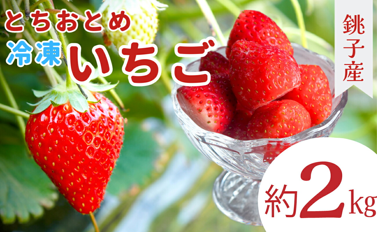 【ふるさと納税】 冷凍イチゴ ２kg (1kg × 2） 萩谷園芸 銚子産 とちおとめ 苺 いちご イチゴ 真空パック 冷凍 冷凍フルーツ カットフルーツ フルーツ ジャム スムージー 千葉県 銚子市