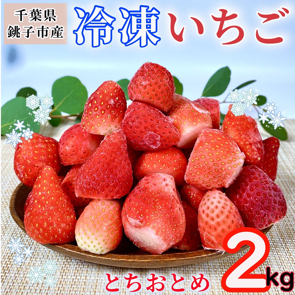【ふるさと納税】 冷凍いちご 約2kg とちおとめ