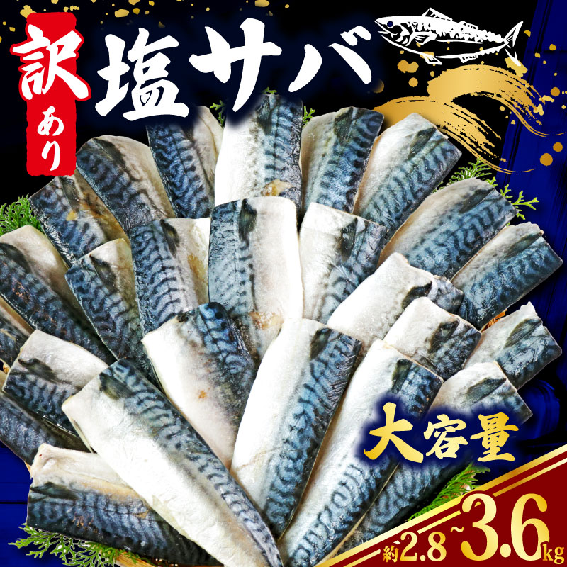 【ふるさと納税】 訳あり 塩さば 【選べる容量】 約2.8kg ~ 約3.6kg さば 鯖 フィレ 切り身 魚 小分け 魚介 弁当 惣菜 おかず つまみ 塩焼き 味噌煮 味噌焼 規格外 切身 冷凍食品 贈り物 ギフト 海鮮 魚貝 プレゼント 冷凍 食品 ふるさと納税 送料無料 千葉県 銚子市 辻野
