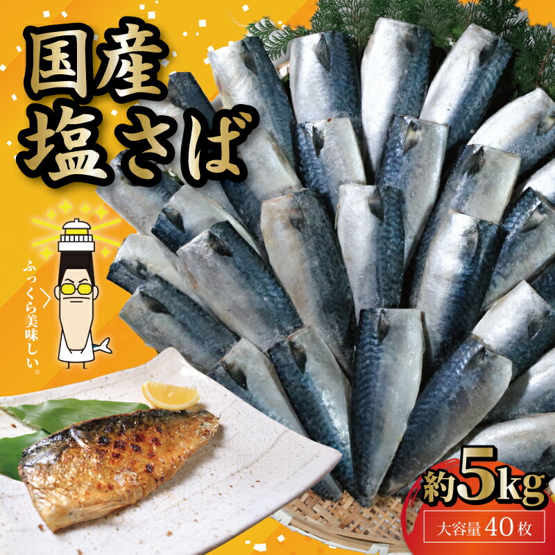【ふるさと納税】 国産塩サバフィレ ４０枚 約５kg 冷凍 貴重な 国産 天然 塩さば フィーレ 塩サバ フィレ 鯖 さば 塩鯖 塩さば 塩サバ 美味しい 国産塩さば 国産塩サバ 国産塩鯖 海鮮 大容量 山盛り 無添加 新鮮 国内加工 千葉県 銚子市