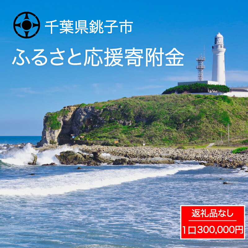 【ふるさと納税】 千葉県 銚子市 ふるさと 応援寄附金 300000円 返礼品なし （ご寄附のみとなります）