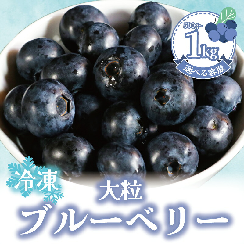 【ふるさと納税】 冷凍ブルーベリー 【選べる容量】 約500g~1kg(1袋500g)ブルーベリー 冷凍 フルーツ 美容 健康 デザート 果物 くだもの お菓子 国産 お取り寄せ グルメ 贈答 プレゼント ギフト アレンジ ふるさと納税 送料無料 銚子産 千葉県 銚子市 アグリモバード
