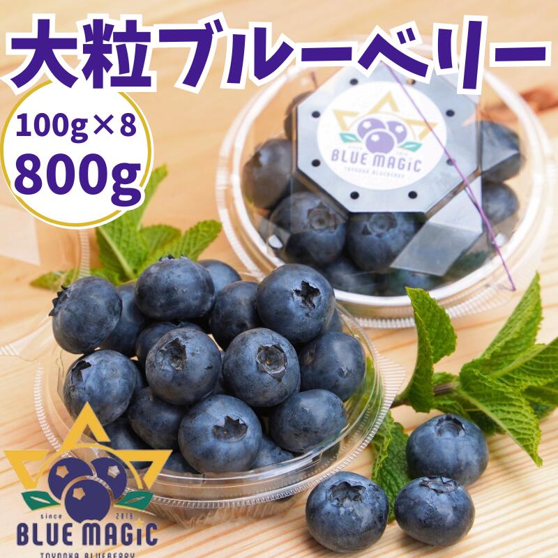 【ふるさと納税】 （先行予約） フレッシュ 大粒ブルーベリー 800 ｇ（100g×8パック） ふるさと納税 ブルーベリー 大粒 特大 フルーツ 果物 くだもの ジャム ヨーグルト チーズケーキ 銚子産 千葉県 銚子 AGRIMOVADO アグリモバード 4月下旬から5月末頃まで発送