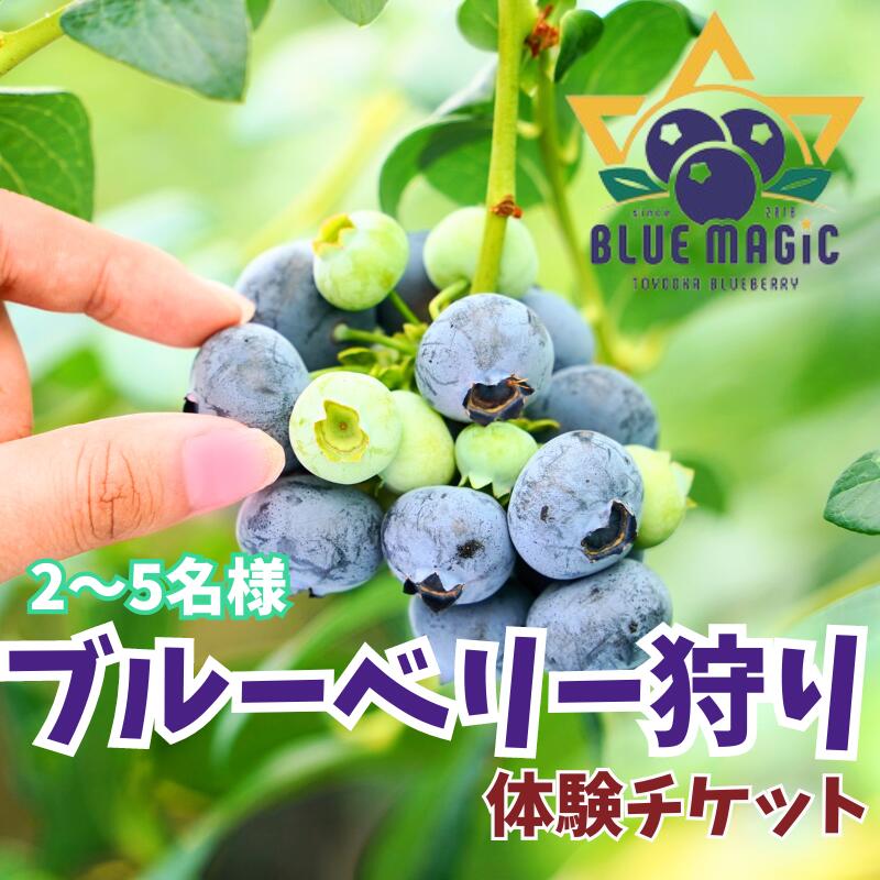 【ふるさと納税】 ブルーベリー狩り チケット 2～5名様 千葉県 銚子市 ふるさと納税 ブルーベリー フルーツ狩り フルーツ 果物狩り 果物 チケット ブルーベリー狩り ブルーベリー摘み 6月 7月 8月 AGRIMOVADO アグリモバード