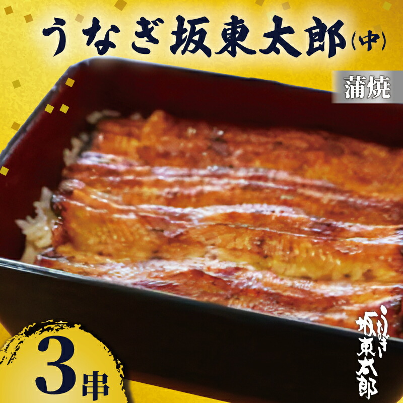 【ふるさと納税】 うなぎ坂東太郎 蒲焼 中3串 うなぎ 坂東太郎 蒲焼 グルメ 鰻 加工品 レトルト 惣菜 人気 おすすめ 簡単調理 真空パック お取り寄せ グルメ ギフト お土産 土用の丑の日 お中元 贈答 プレゼント 贈り物 食品 うな重 魚貝 冷凍 送料無料 千葉県 銚子市 忠平