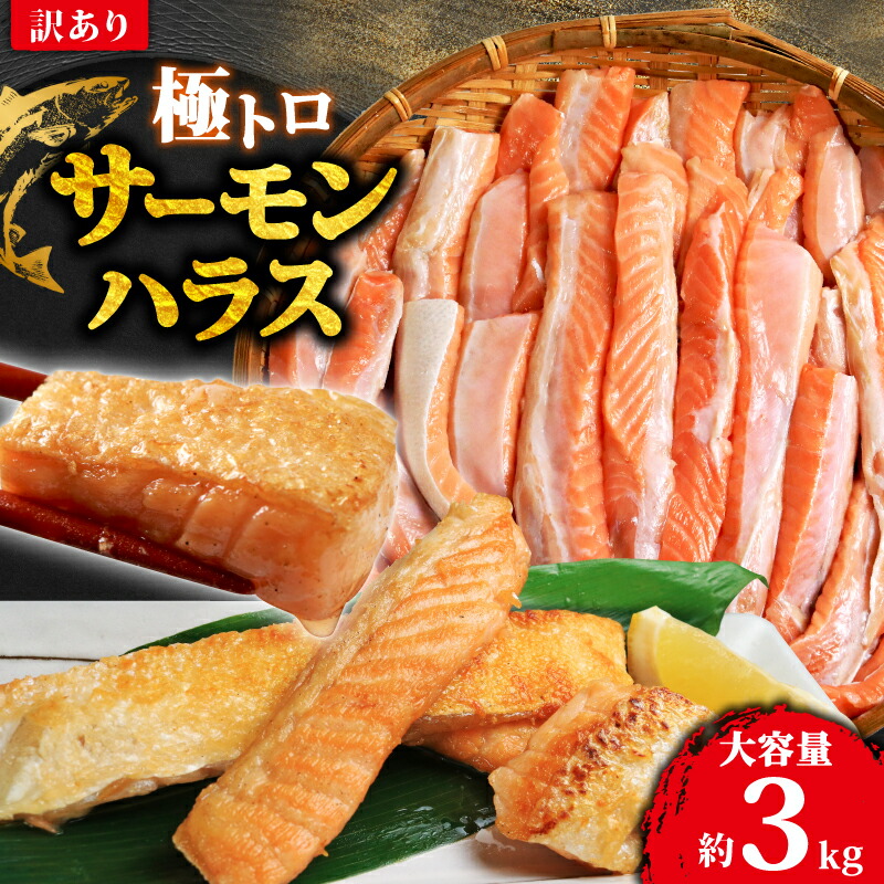【ふるさと納税】 訳あり トロ サーモン ハラス 約3kg （約1kg×3） アトランティックサーモン サーモンハラス トロサーモン サーモン 鮭 さけ しゃけ 規格外 小分け 個別冷凍 冷凍 真空 真空パック  千葉県 銚子市 荒野商店