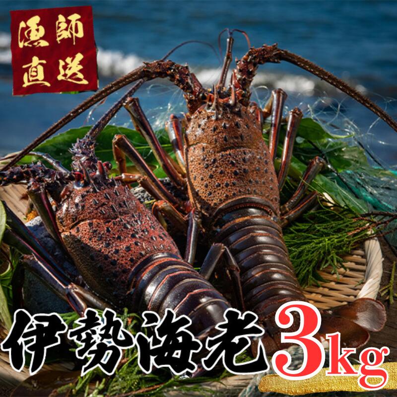 特大伊勢海老の剥製(送料込み) 2026年最新】剥製 伊勢海老の人気アイテム - メルカリ