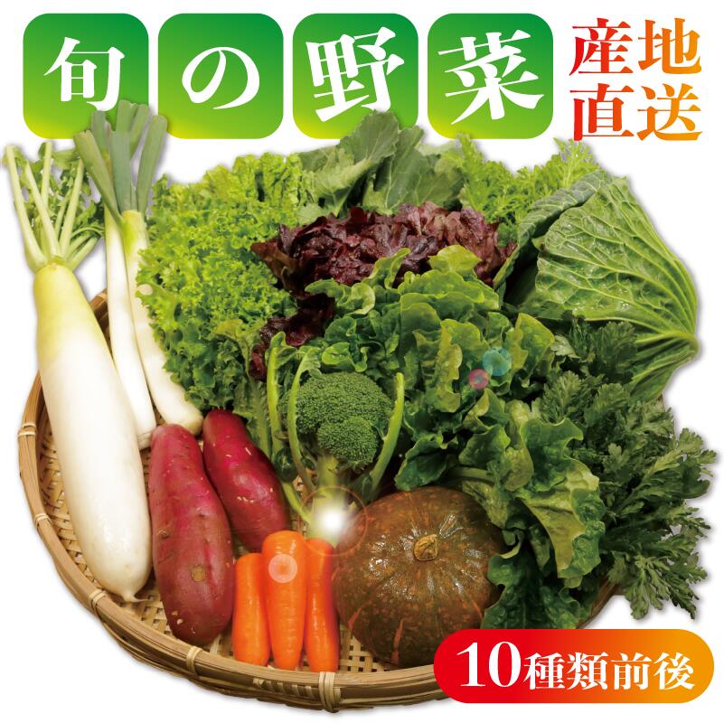 【ふるさと納税】 野菜詰め合わせセット 8~10種類 季節の野菜 やさい トマト 大根 人参 にんじん サラダ 小松菜 かぶ ほうれん草 ブロッコリー ミニトマト 野菜 野菜セット 新鮮野菜 朝採れ 産地 10000 10,000 10000円 ふるさと納税 送料無料 千葉県 銚子市 孝農園|千葉県銚子市