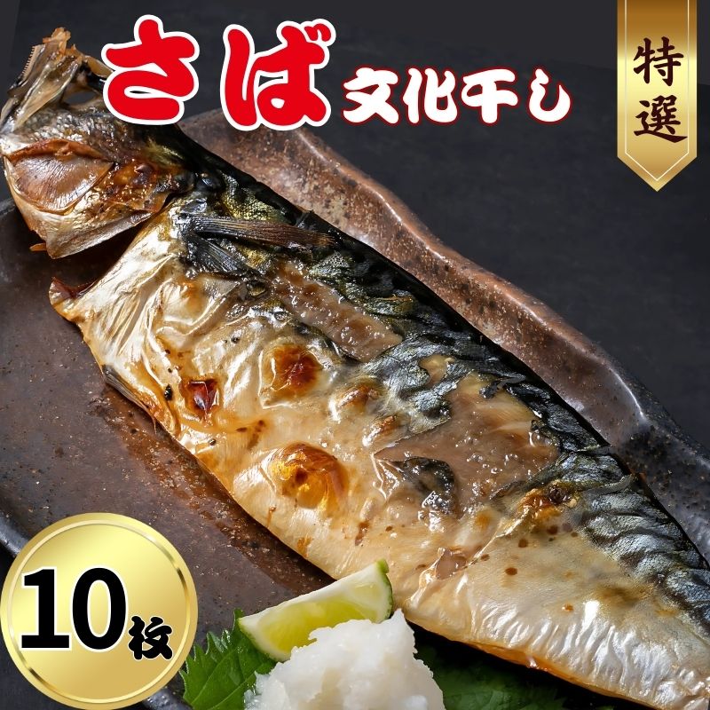 【ふるさと納税】 特選 さば文化干し 10枚 ショウマル下谷 6,480円