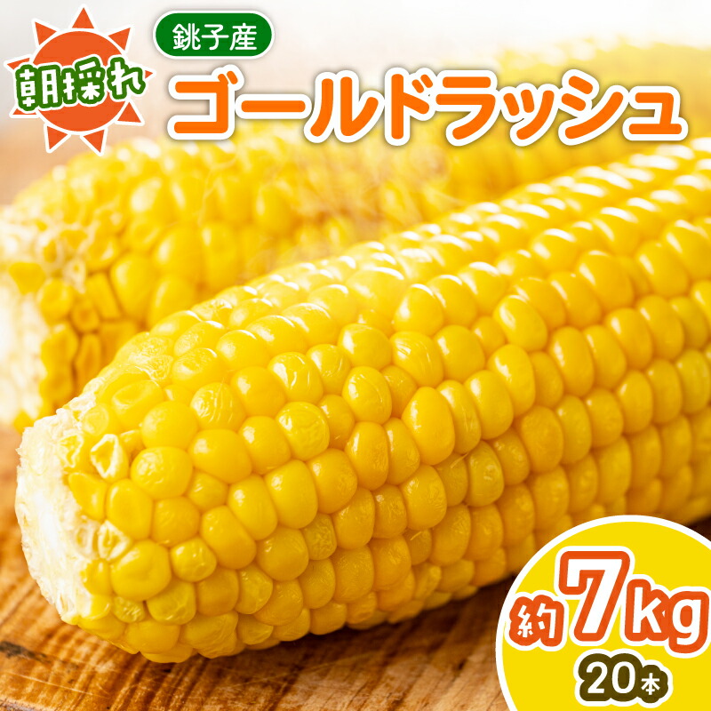 【ふるさと納税】 先行予約 とうもろこし 20本 約7kg 銚子産 ﾄｳﾓﾛｺｼ コーン 野菜 やさい 旬 朝採り 朝採れ 国産 産地直送 小分け 冷蔵 大容量 人気 期間限定 BBQ キャンプ お取り寄せ 贈答 ギフト ふるさと納税 送料無料 千葉県 勘兵衛 【7月中旬~8月上旬発送予定】