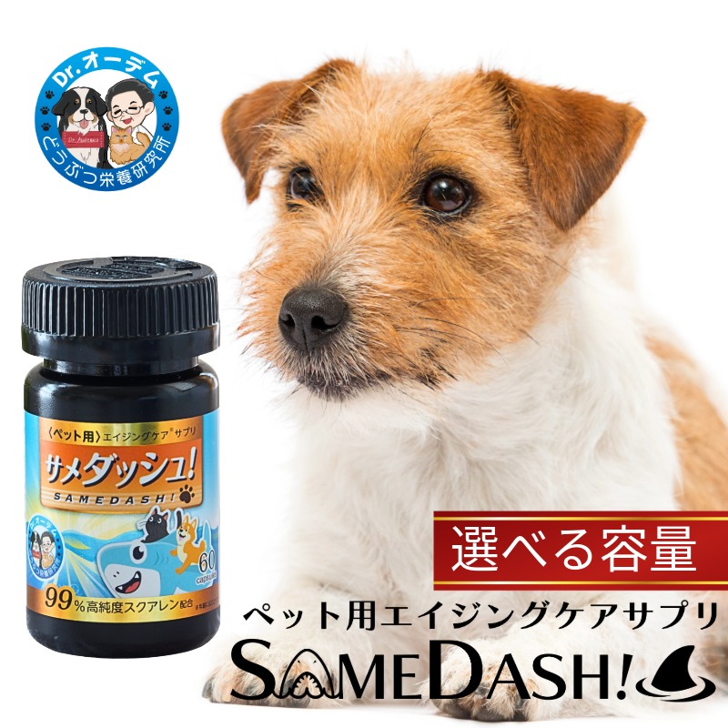 ふるさと納税賞 勝ち取る