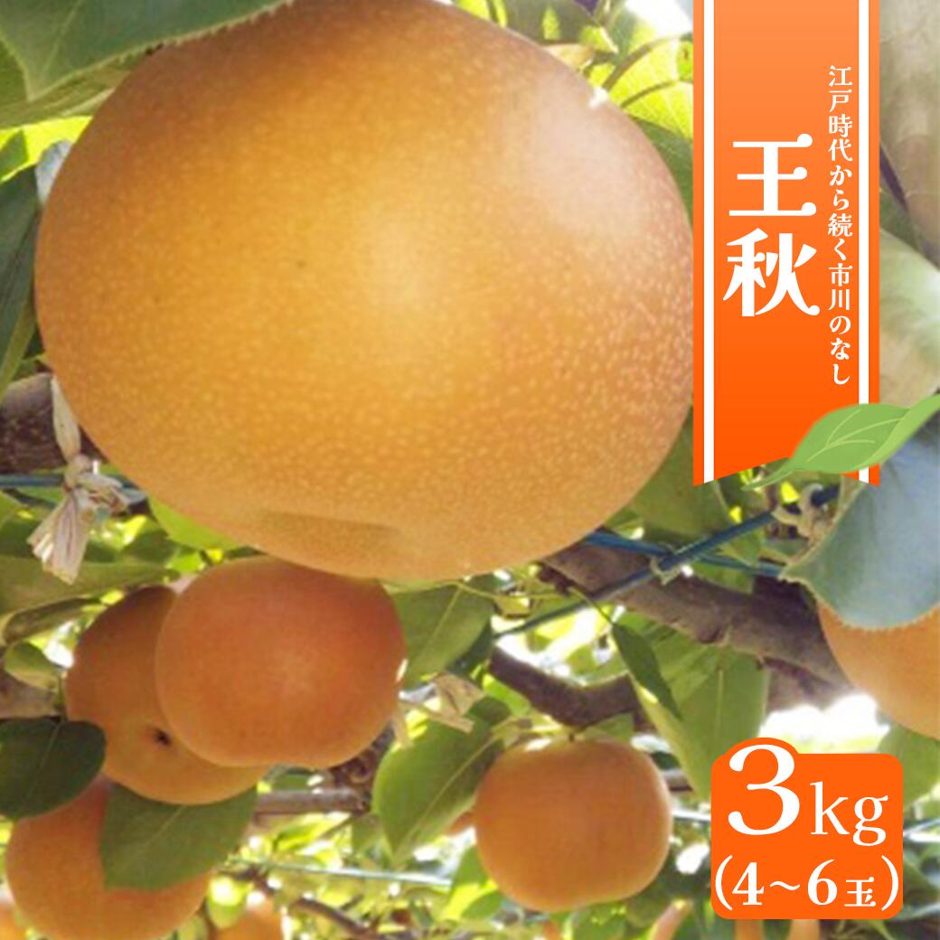 【ふるさと納税】市川の梨　王秋3キロ(４～６個入り）　【12203-0201】