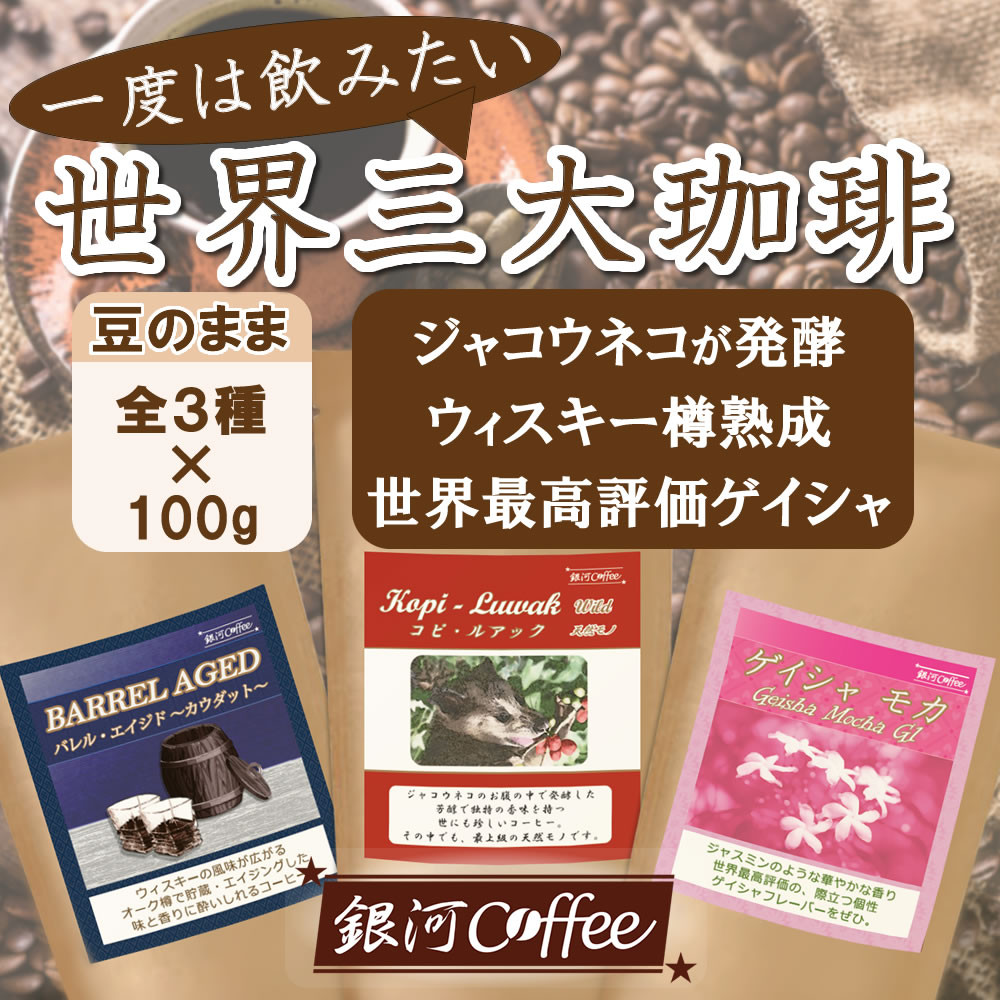 【ふるさと納税】生涯で飲みたい 世界３大珈琲(豆のまま)100g×3種 銀河コーヒー【12203-0103】