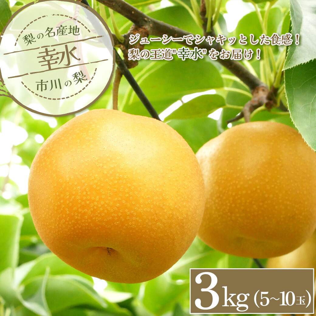 【ふるさと納税】市川の梨　幸水　3kg（5～10玉）　【12203-0257】