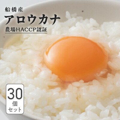 【ふるさと納税】生で食べて美味しい　幸せの青いたまご　アロウカナ　30個セット　奈良養鶏園　農場HACCP認証　船橋産　希少　卵　玉子　鶏卵　たまごかけご飯　TKG
