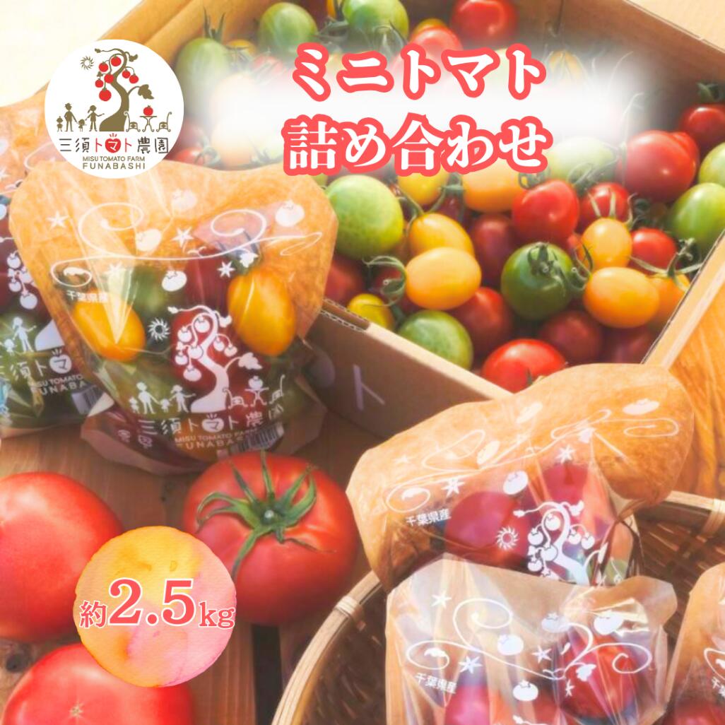楽天市場】【ふるさと納税】 本田農園のかがやきトマト 2箱 ( 約