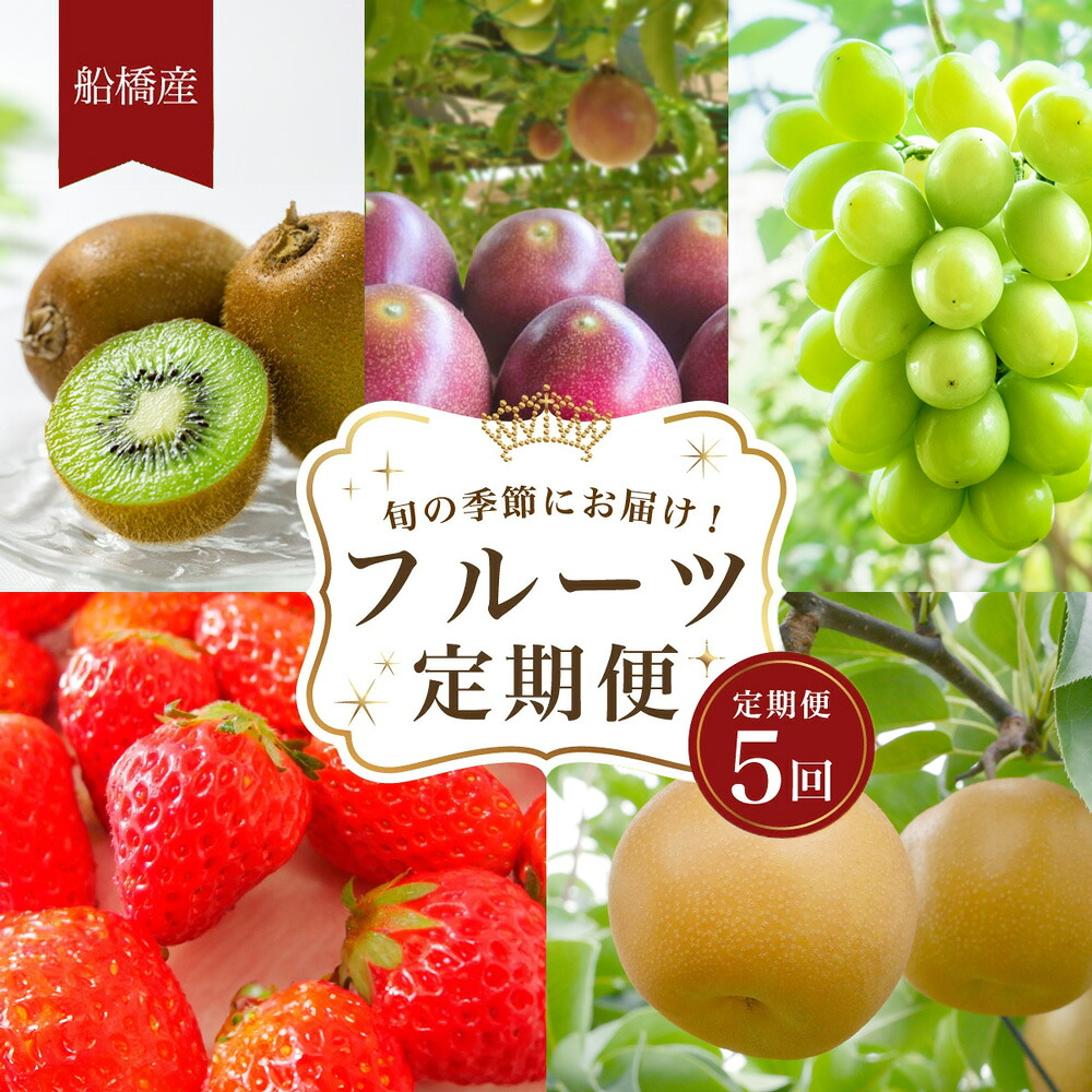 【ふるさと納税】船橋産フルーツ定期便（5品目）　キウイ イチゴ 梨 豊水 シャインマスカット パッションフルーツ 旬の時期に発送｜千葉県船橋市