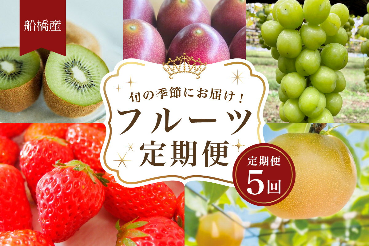 【ふるさと納税】船橋産フルーツ定期便（5品目）　キウイ イチゴ 梨 豊水 シャインマスカット パッションフルーツ 旬の時期に発送