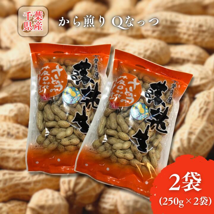 【ふるさと納税】から煎りQなっつ250g2袋