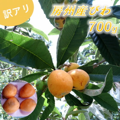 【ふるさと納税】【訳あり】館山の温暖な気候育ち 房州びわ 700g以上【配送不可地域：離島・北海道・沖縄県・東北・中国・四国・九州】【1486469】