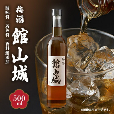 【ふるさと納税】梅酒 館山城(アルコール度数 20度) 500ml×1本【1486742】|千葉県館山市