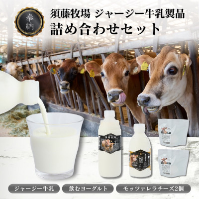 【ふるさと納税】奉納・高評価!　ガストロノミーアワード大賞!　須藤牧場ジャージー乳製品つめあわせセット_ ジャージー牛乳 乳製品 ヨーグルト チーズ 詰め合わせ ギフト 美味しい 送料無料 【配送不可地域：離島】【1579723】｜千葉県館山市