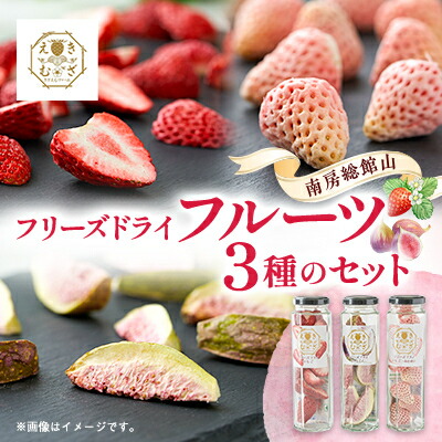 【ふるさと納税】南房総館山フリーズドライフルーツ3種類 瓶詰め_ドライフルーツ ドライフルーツ ドライフルーツ【1599715】