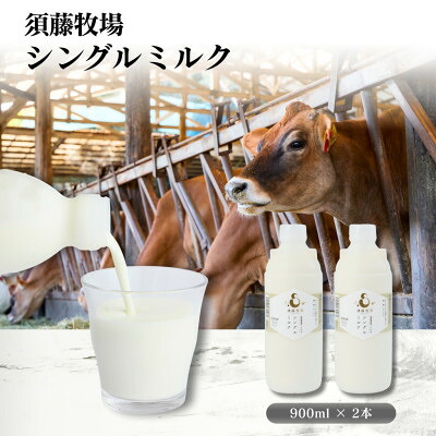 【ふるさと納税】シングルミルク900ml 2本入【配送不可地域:離島】【1704142】