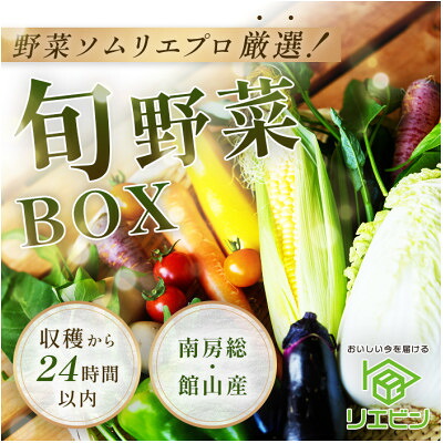 【ふるさと納税】【毎月定期便】【中旬発送】こだわりの旬野菜BOX「リエビン」季節の野菜セット全6回【配送不可地域：離島・沖縄県】【4012343】